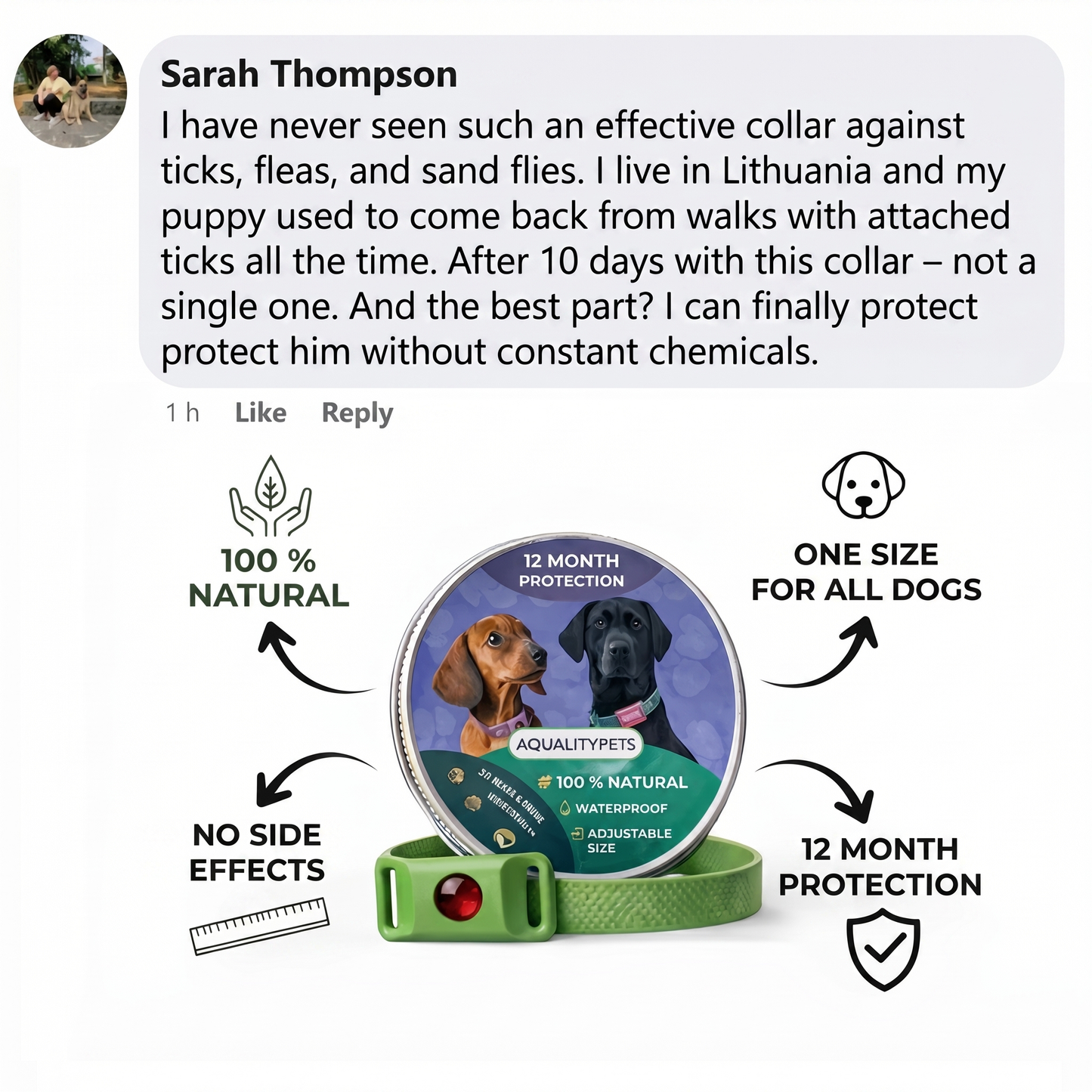 Natural AqualityPets Collar For Dogs